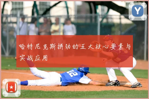 哈特尼克斯拼劲的五大核心要素与实战应用