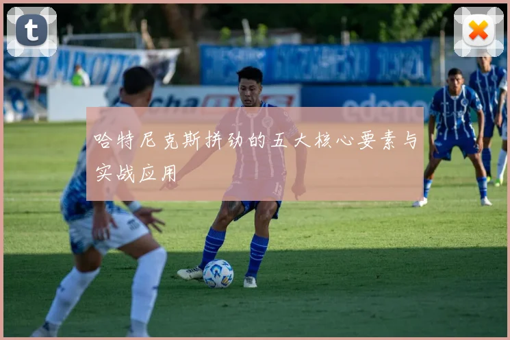 哈特尼克斯拼劲的五大核心要素与实战应用