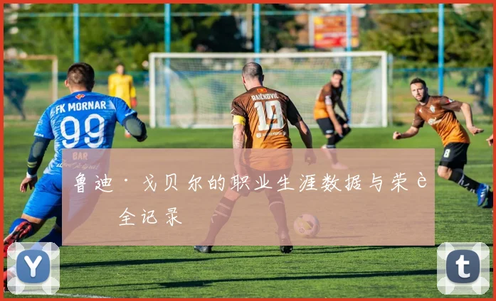 鲁迪·戈贝尔的职业生涯数据与荣誉全记录