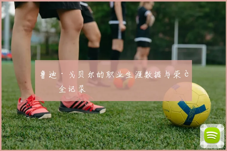 鲁迪·戈贝尔的职业生涯数据与荣誉全记录