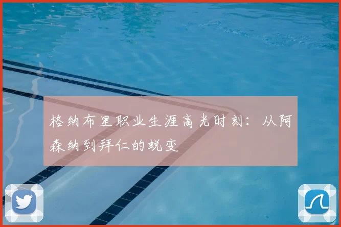 格纳布里职业生涯高光时刻：从阿森纳到拜仁的蜕变