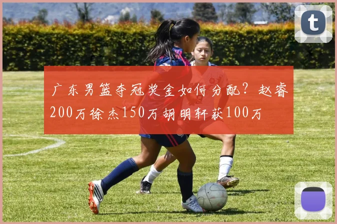 广东男篮夺冠奖金如何分配？赵睿200万徐杰150万胡明轩获100万