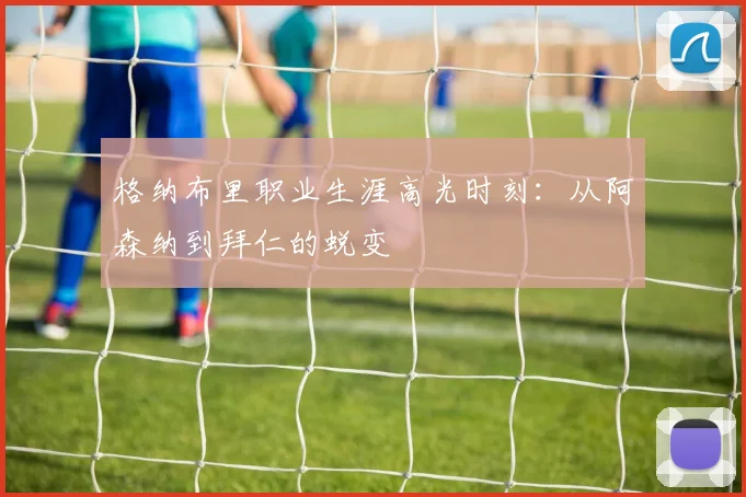 格纳布里职业生涯高光时刻：从阿森纳到拜仁的蜕变